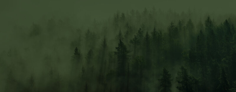 Nidwaldner Holz Hero Background