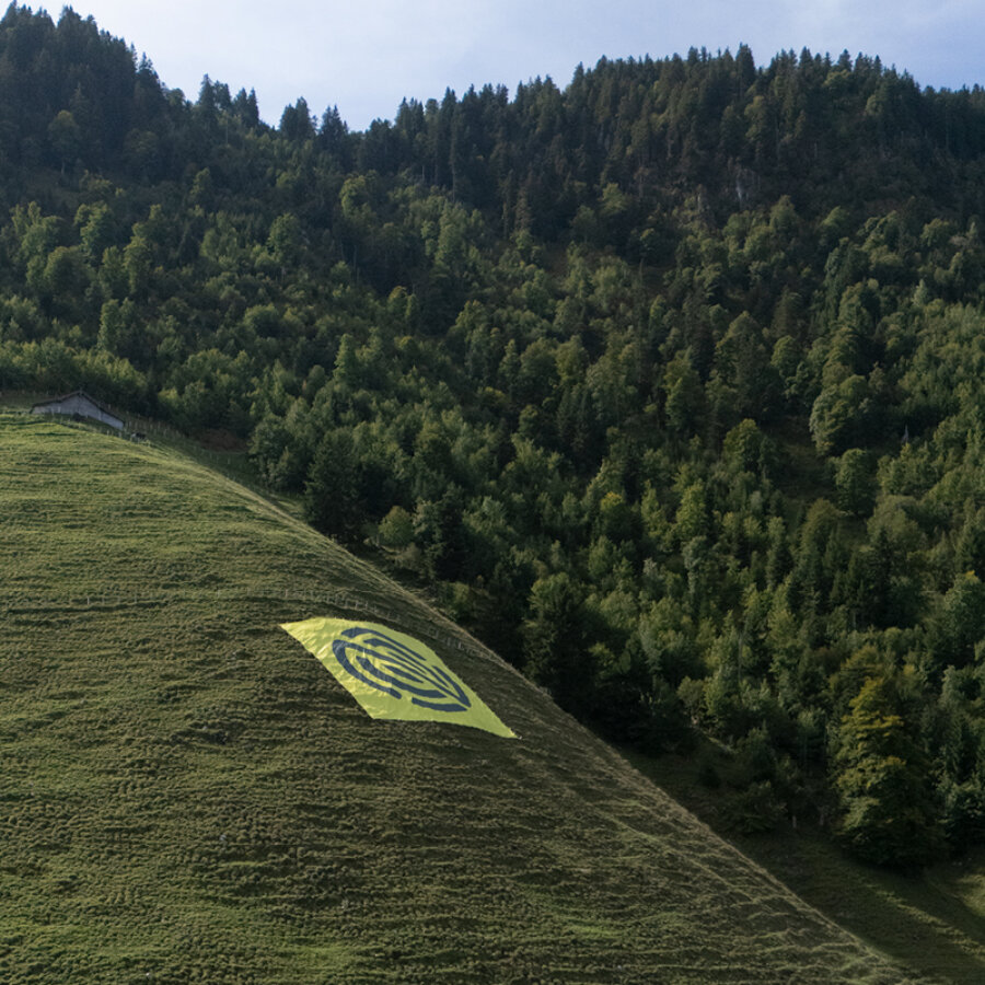 Nidwaldner Holz News Guerilla Aktion