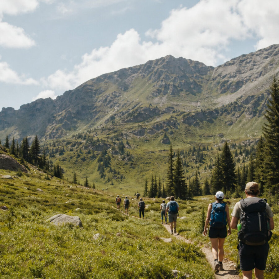 Nidwaldner Holz News Klimawanderung