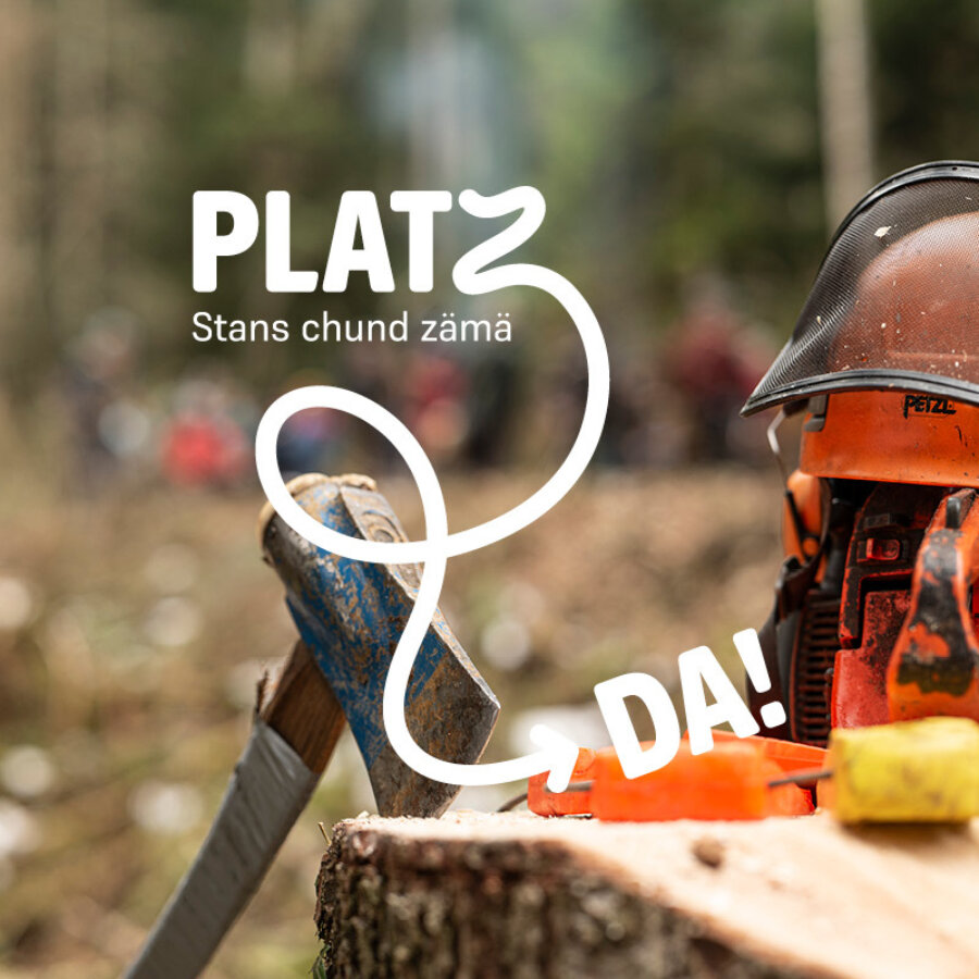 Nidwaldner Holz News Platz Da