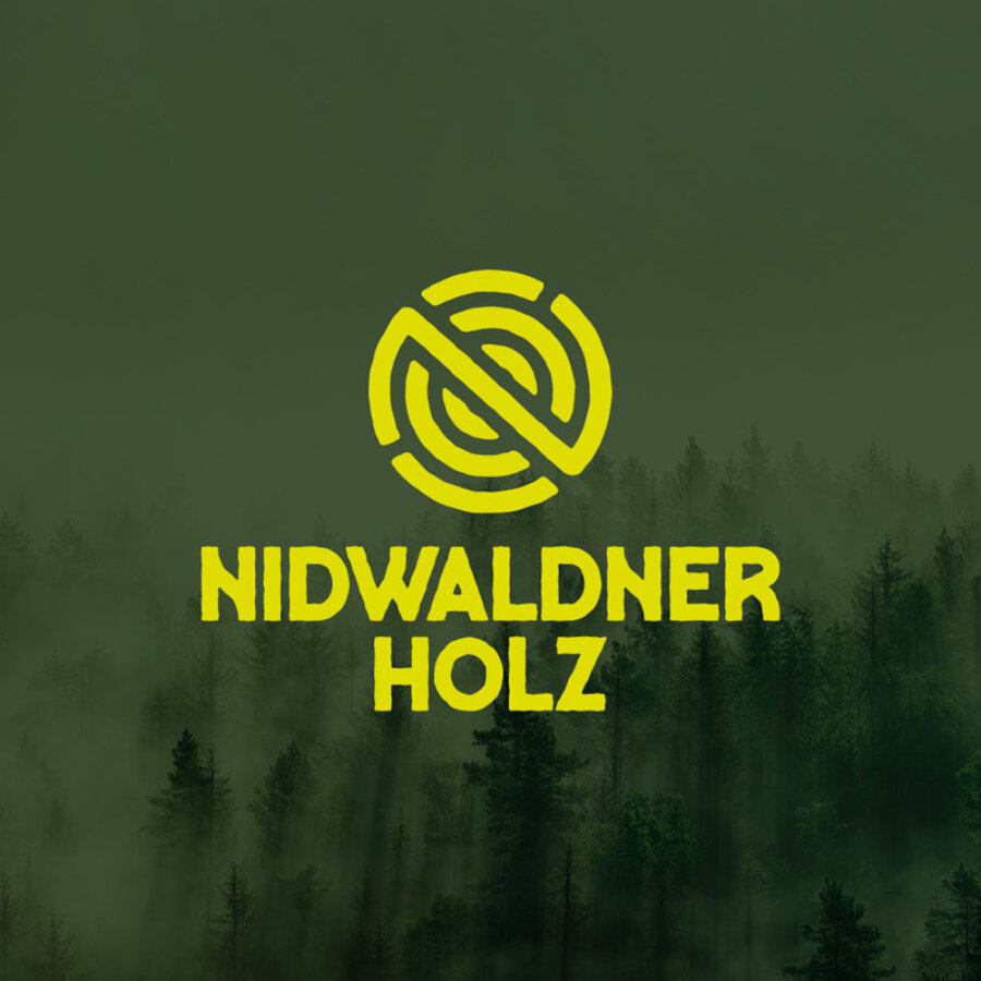 Nidwaldner Holz News Song